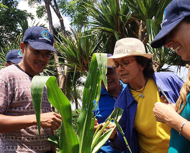 Invitación al Curso Taller de Agricultura Orgánica en Cuba